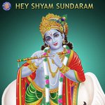 Hey Shyam Sundaram - Nachiket Lele Song Download